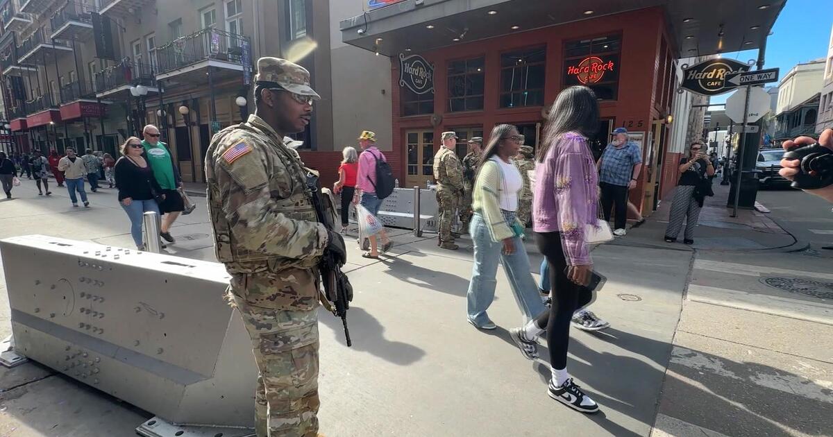 mardi-gras-security-response