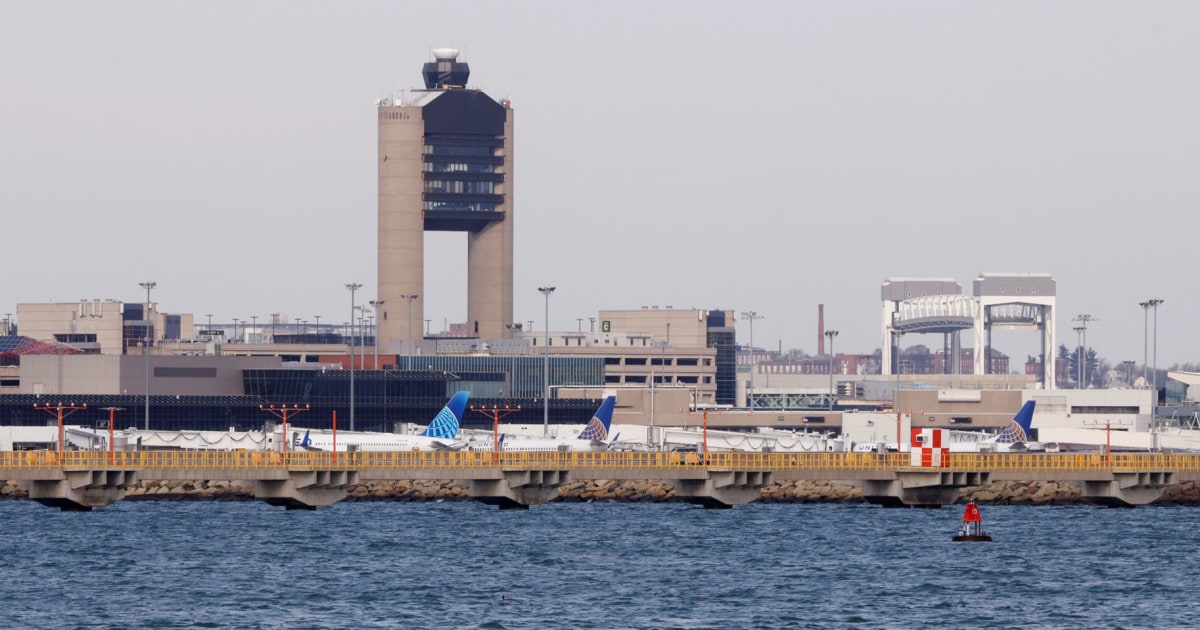 scorpion-sting-boston-logan-airport