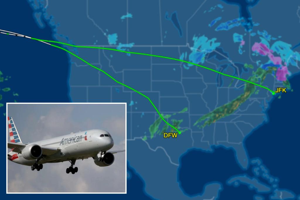 american-airlines-flight-diversion-tokyo