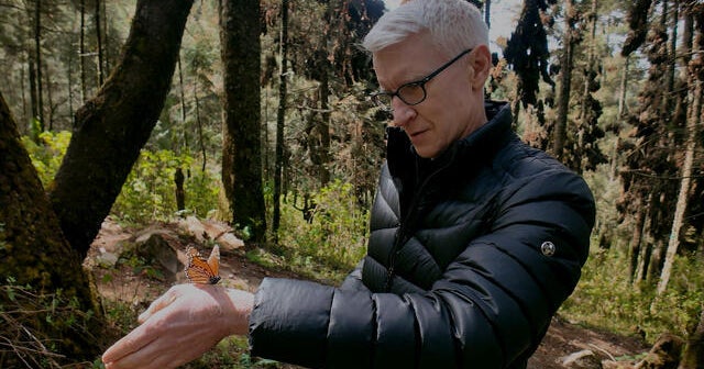 anderson-cooper-monarch-butterfly