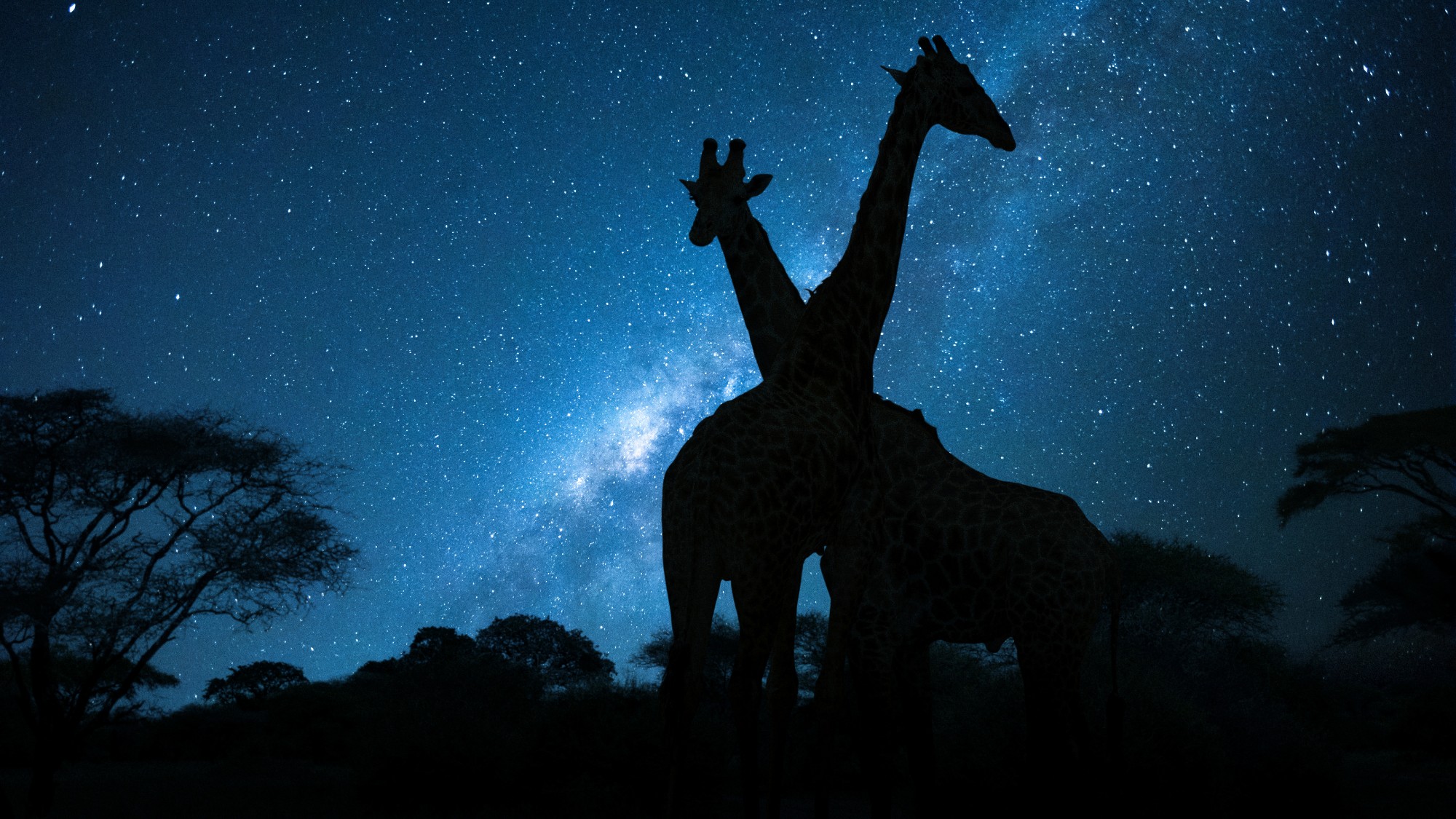 noctourism-adventures