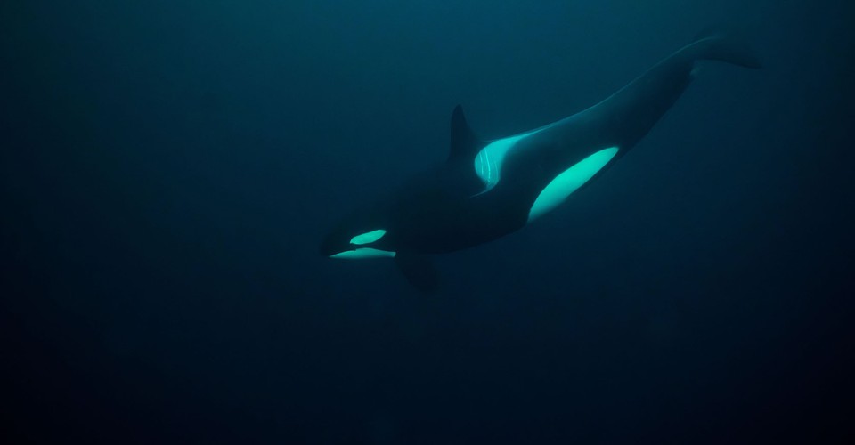 northern-photography-beauty