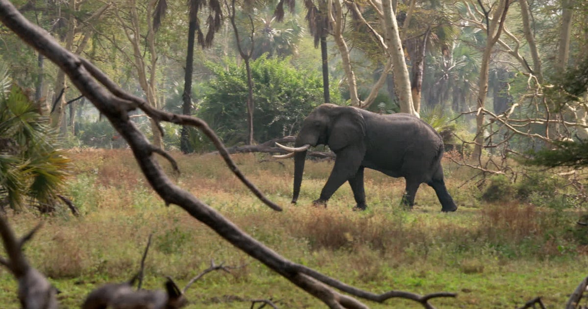gorongosa-national-park-restoration