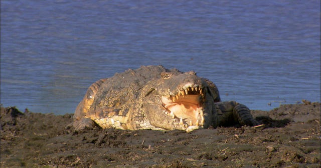gorongosa-national-park