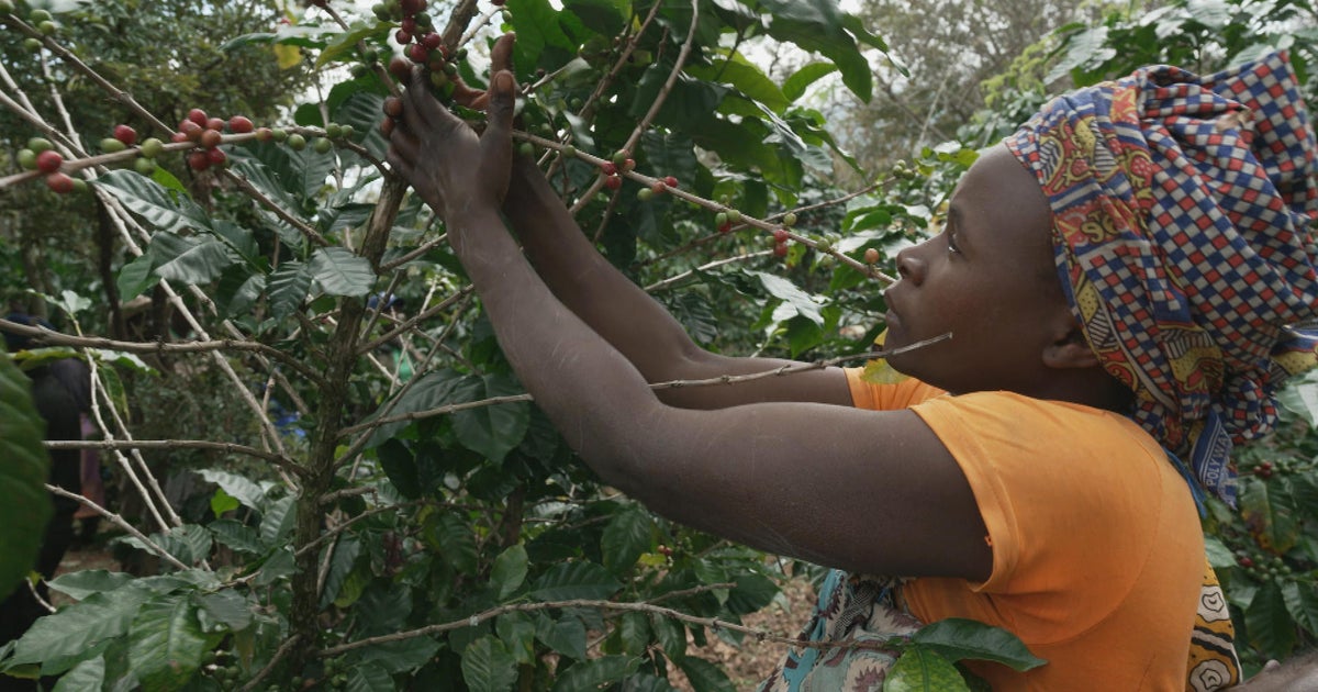 gorongosa-wildlife-ecosystem