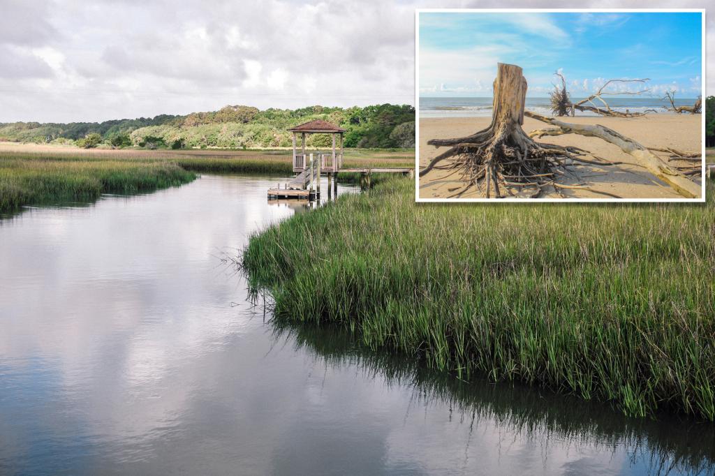 South Carolina-burial-site