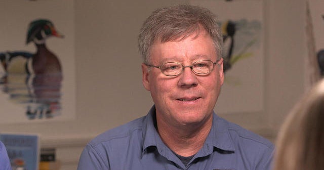 david-sibley-birdwatching