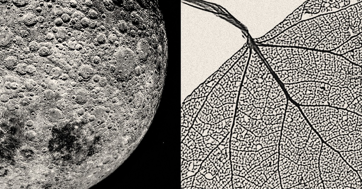 supermoon-lunar-cycles