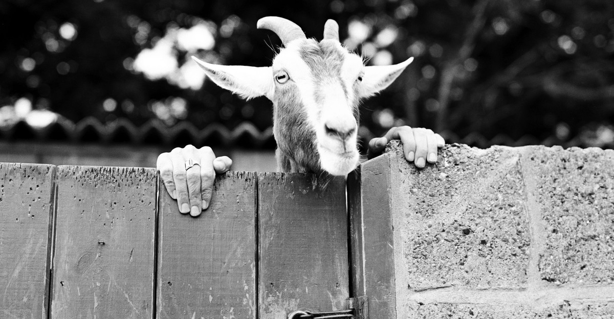 archives-bizarre-images