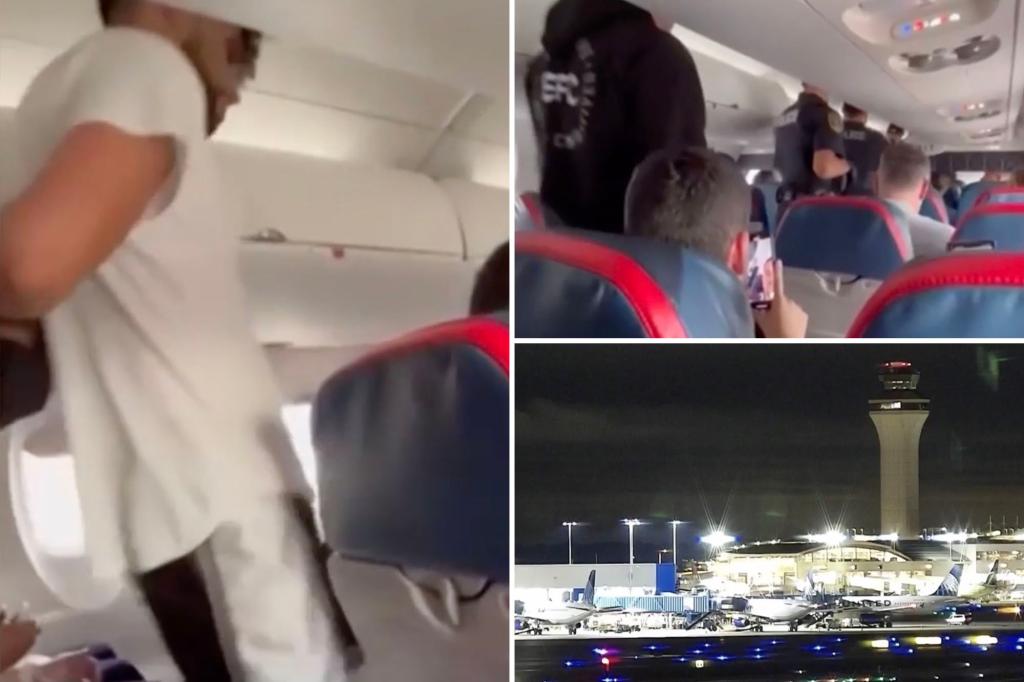 delta-flight-diverted-unruly-passenger
