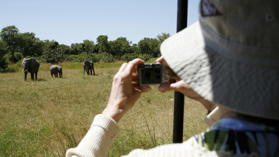 elephant-attack-tourists