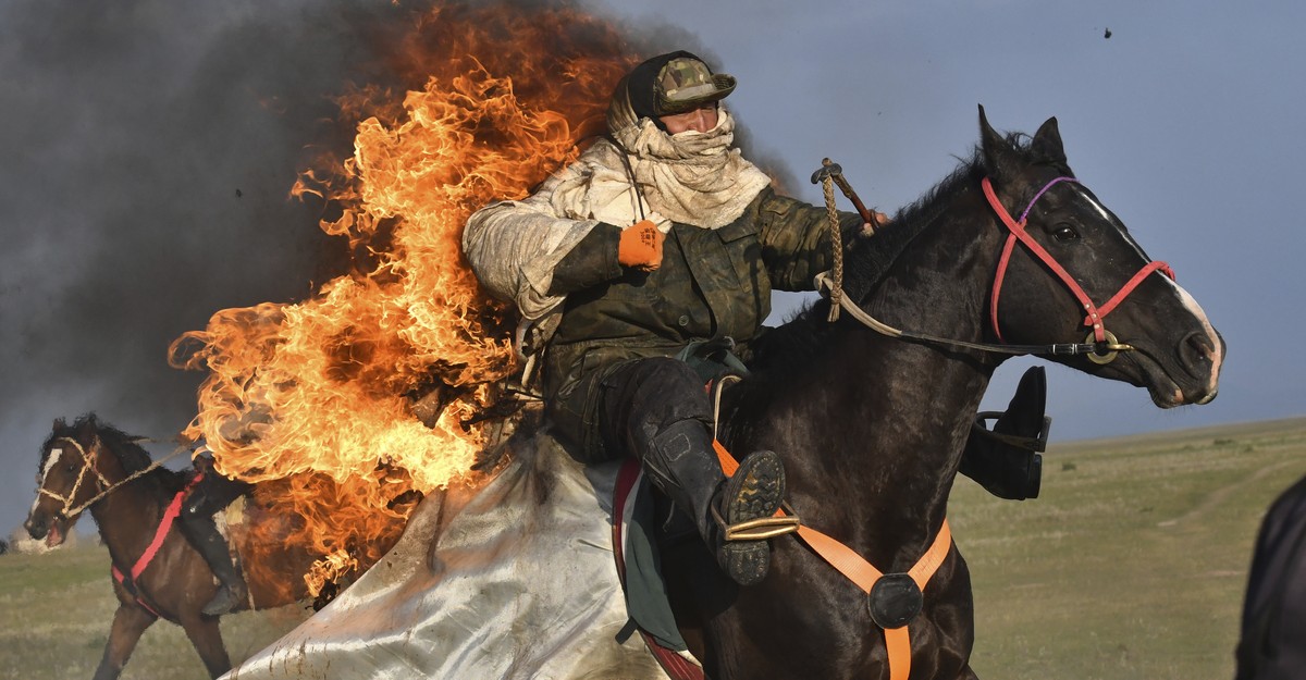 nature-photography-cow-cuddling