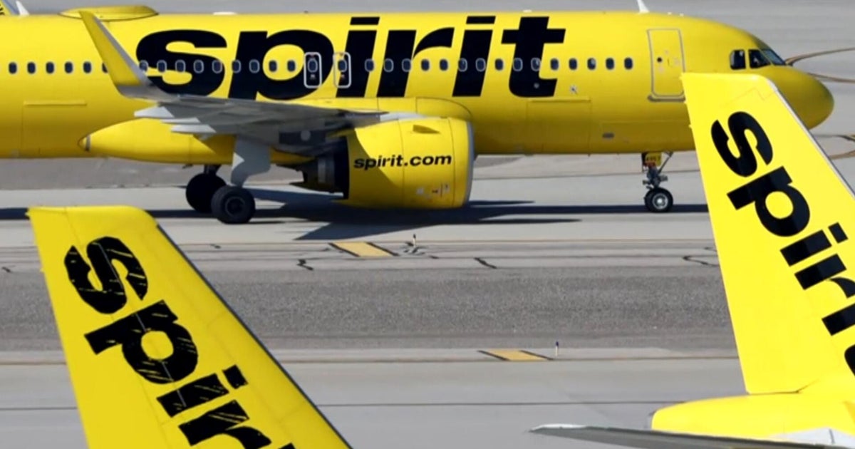 domestic-travel-business-concerns